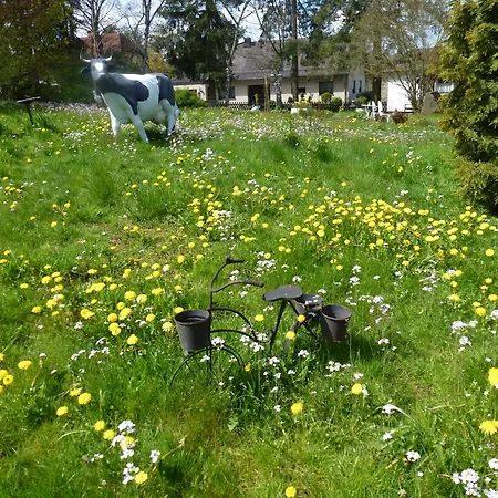 Land Des Friedens In / Eifel