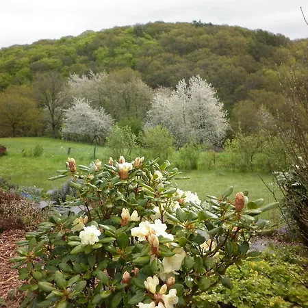 Land Des Friedens In / Eifel *