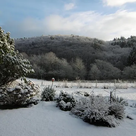 Land Des Friedens In / Eifel * Nettersheim