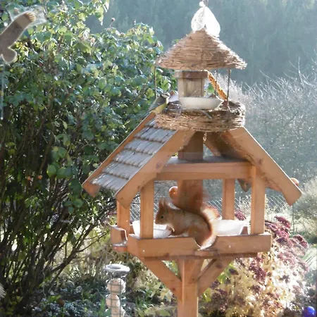 Land Des Friedens In / Eifel Apartamento