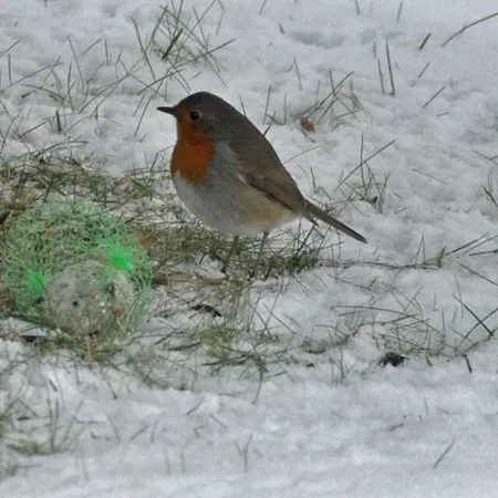 Land Des Friedens In / Eifel Apartamento *