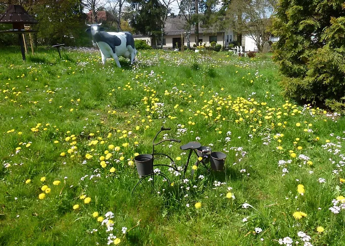 Land Des Friedens In / Eifel