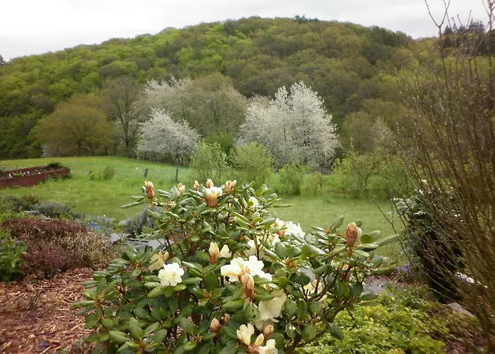 Land Des Friedens In / Eifel *