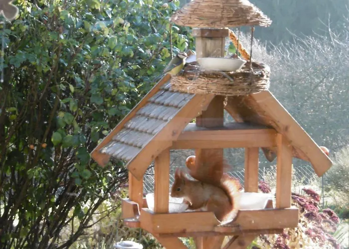 Land Des Friedens In / Eifel Apartmán