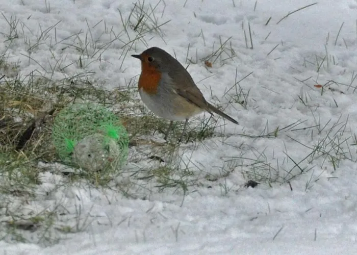 Land Des Friedens In / Eifel Apartmán *