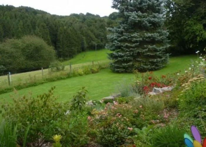 Lejlighed Land Des Friedens In / Eifel *